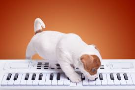 honden muziek